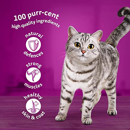 Whiskas | 1+ Adult Poultry Selection in Jelly | 40 Pouches