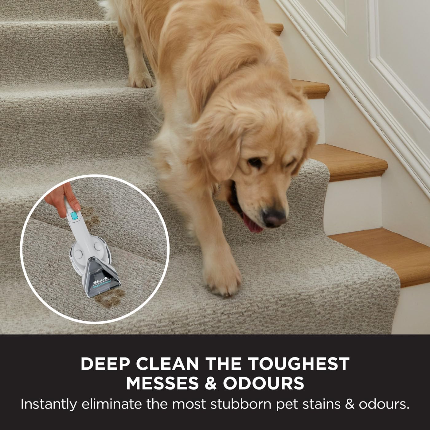 Shark CarpetXpert Deep Clean Carpet Cleaner with Built-In StainStriker Spot C...