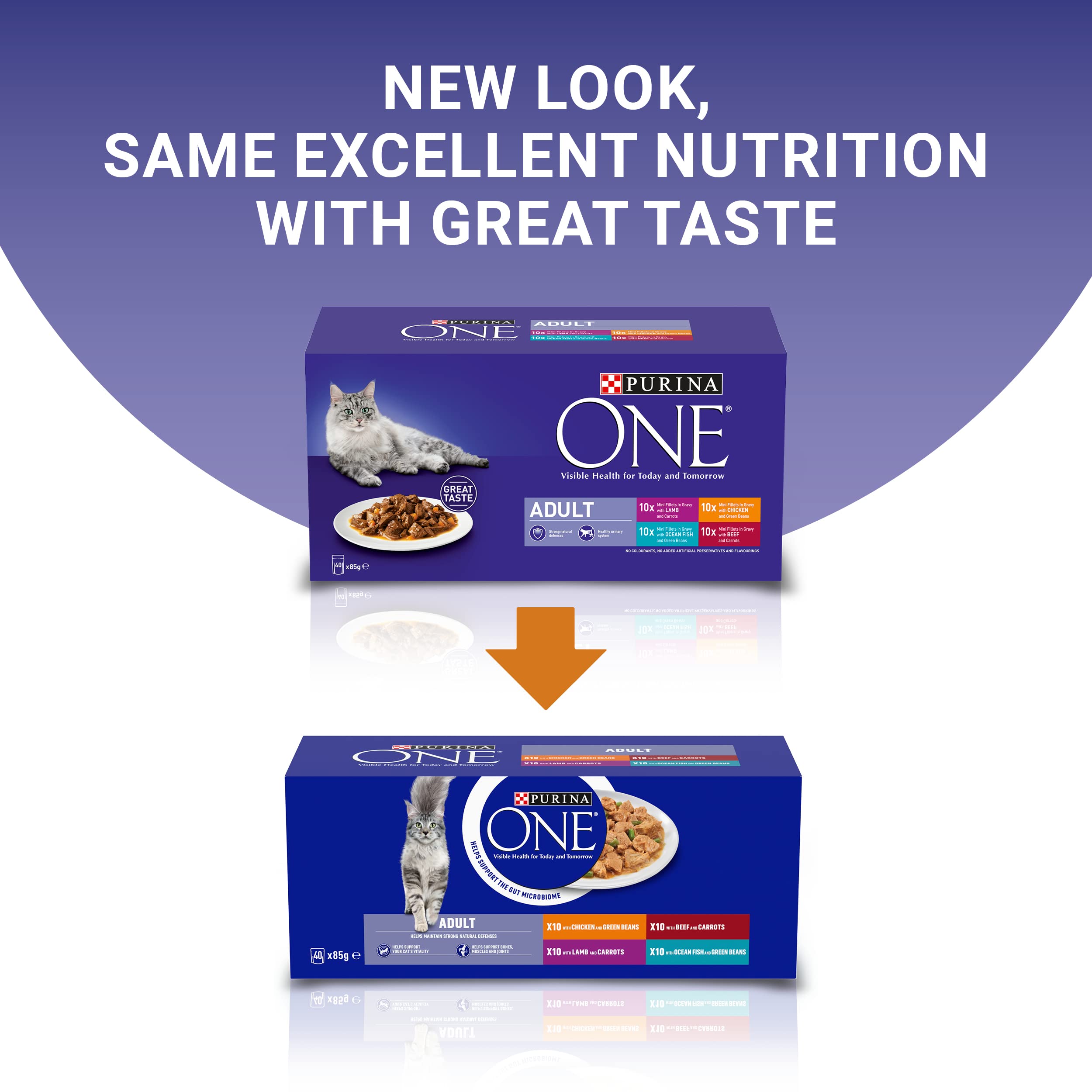 PURINA ONE | Mini Fillets Mixed Selection in Gravy | 40 x 85g