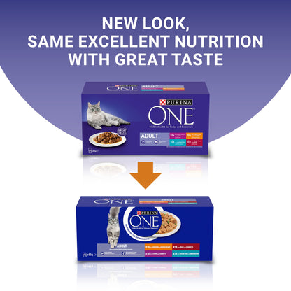 PURINA ONE | Mini Fillets Mixed Selection in Gravy | 40 x 85g