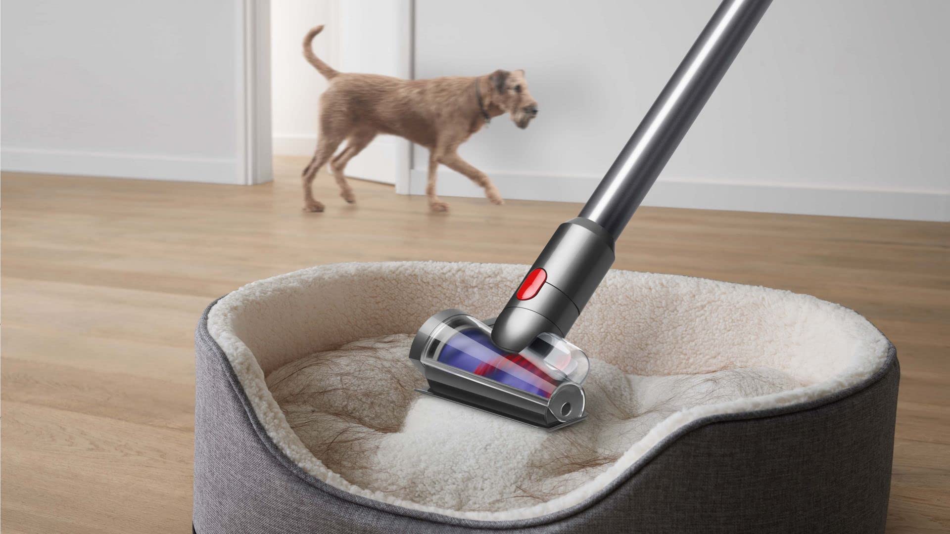 Dyson V8 Absolute