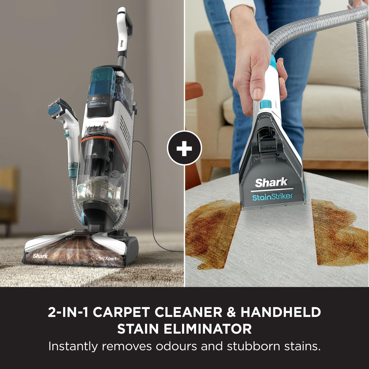 Shark CarpetXpert Deep Clean Carpet Cleaner with Built-In StainStriker Spot C...