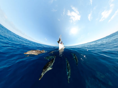 GoPro Max - Traditional Waterproof 360+ Action Camera