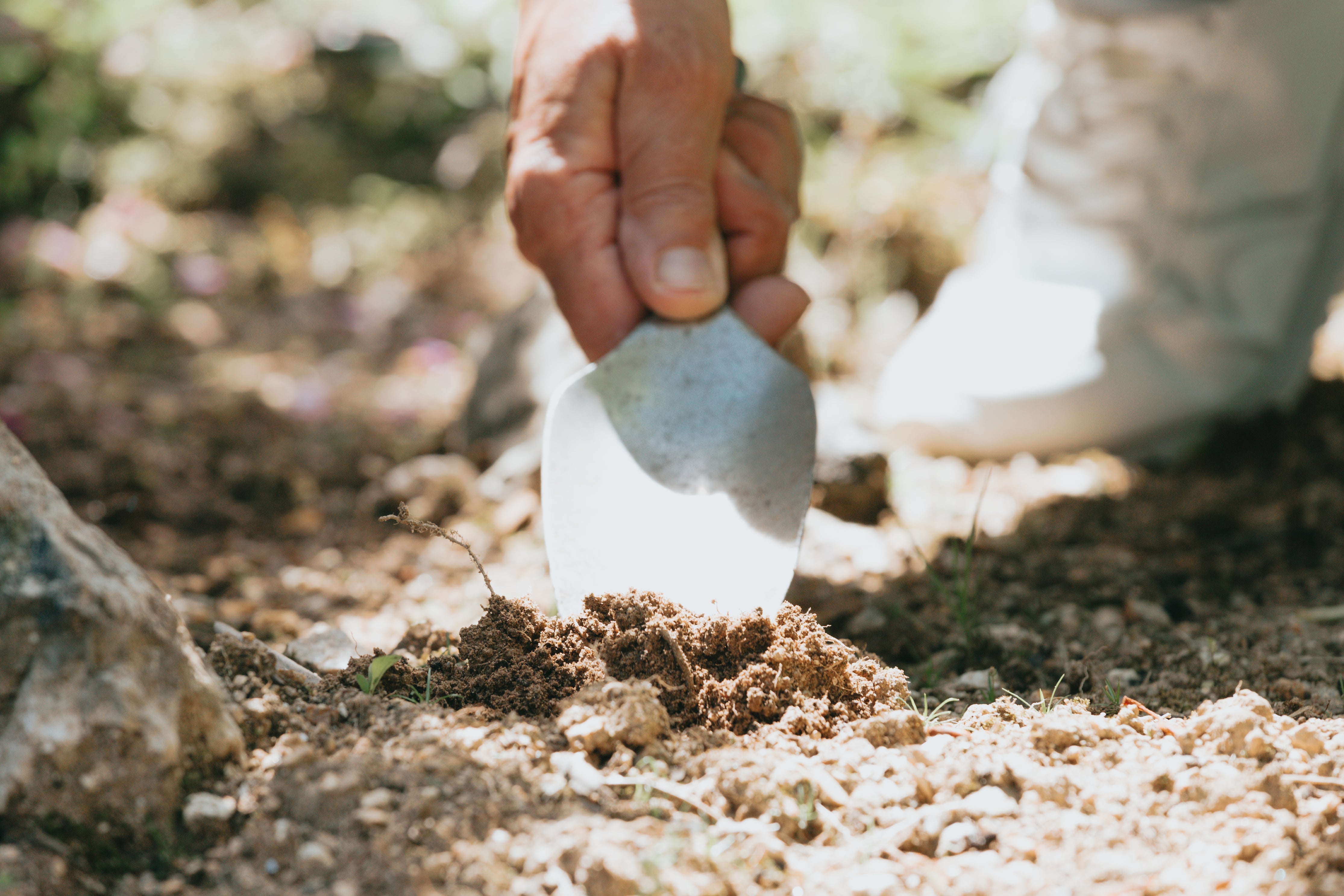 Planting Trees